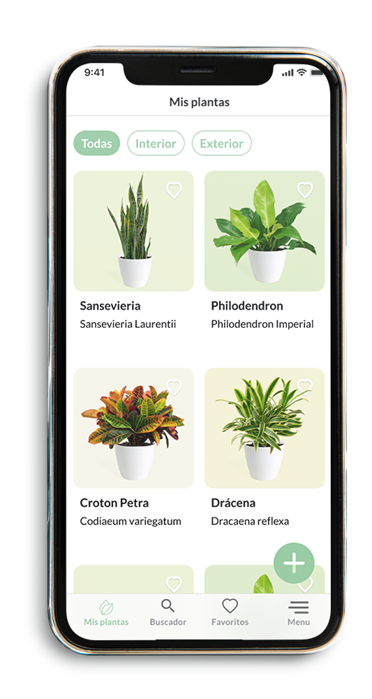 Prototipo-Grow-Plant Care app